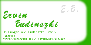 ervin budinszki business card